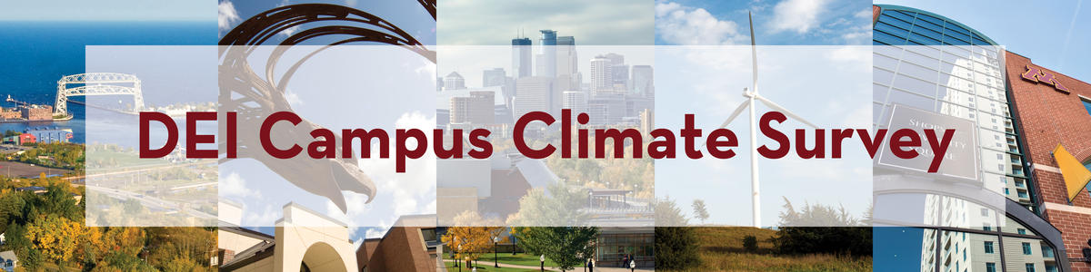 DEI Campus Climate Survey